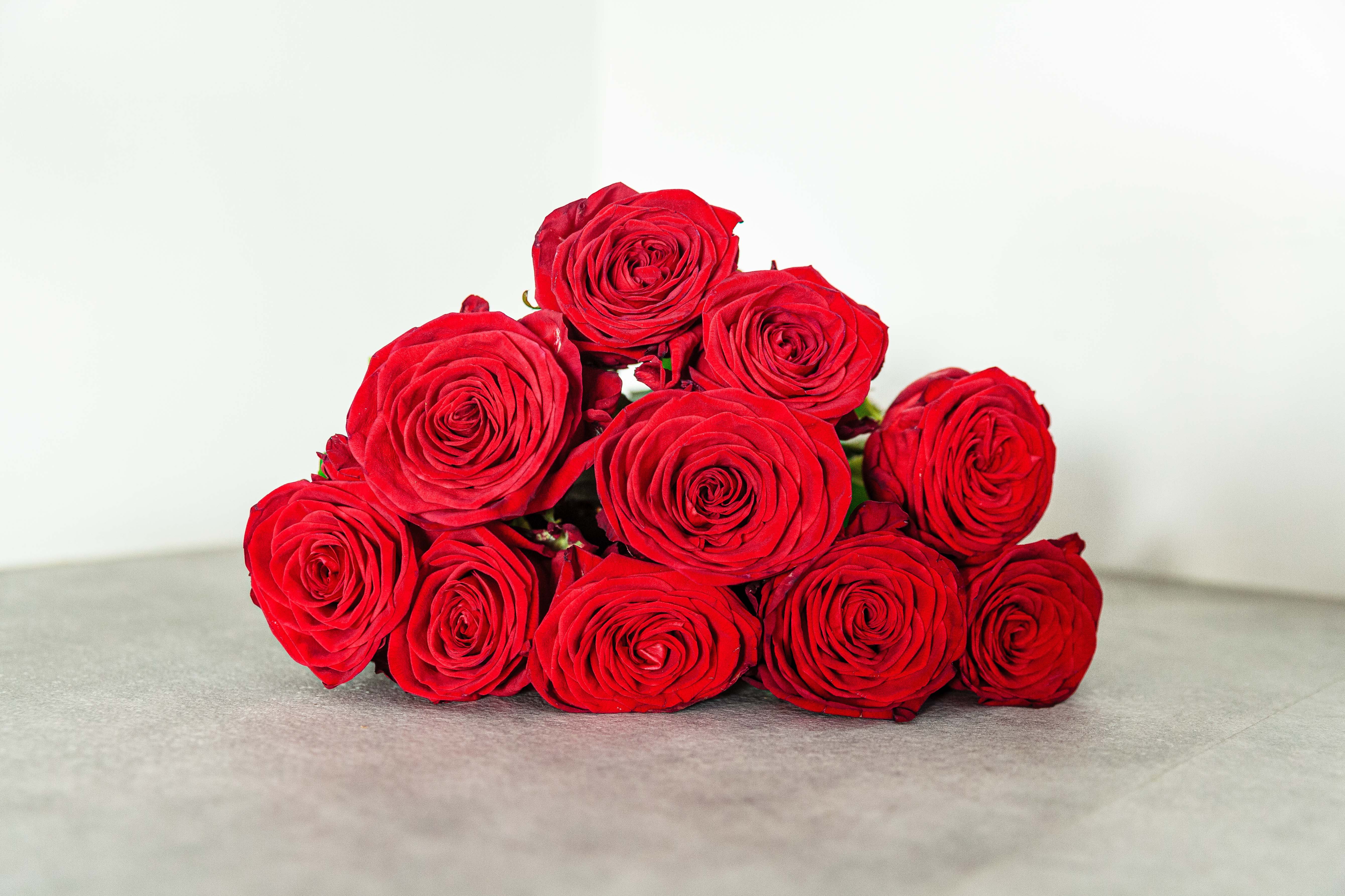 roses